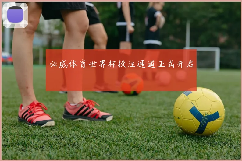 必威体育世界杯投注通道正式开启