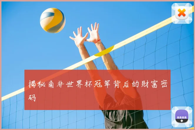 揭秘南非世界杯冠军背后的财富密码