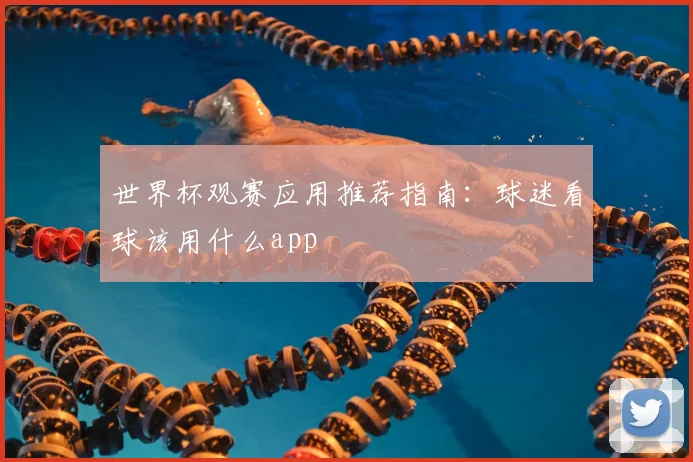 世界杯观赛应用推荐指南：球迷看球该用什么app
