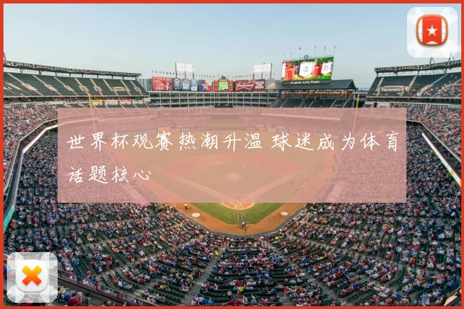 世界杯观赛热潮升温 球迷成为体育话题核心
