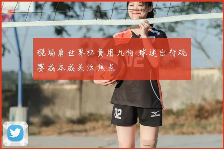 现场看世界杯费用几何 球迷出行观赛成本成关注焦点