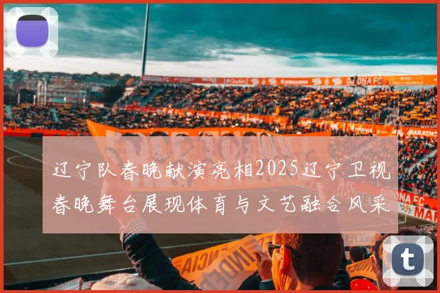 辽宁队春晚献演亮相2025辽宁卫视春晚舞台展现体育与文艺融合风采