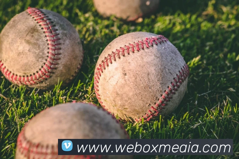 hth网址平台生态图